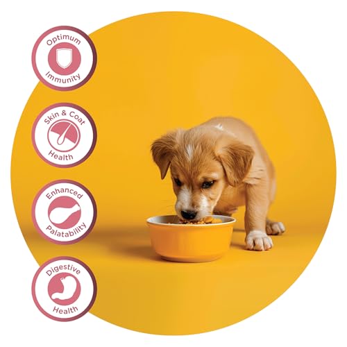 Image of Fidele+ Dry Dog Food 3 Kg Small & Medium Breed Puppies Complete & Balanced Diet Supports Growth, Energy, Joints & Immunity No Artificial Flavours, Preservatives