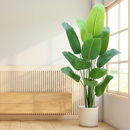 Bird of Paradise Plant Artificial 6ft,Faux Plants Indoor Tall with 12 Trunks - The Perfect Indoor Silk Floor Plant for Home Decor in Living Room, Office, and Bedroom (6FT Bird of Paradise) Bird of Paradise Plant Artificial 6ft,Faux Plants Indoor Tall with 12 Trunks - The Perfect Indoor Silk Floor Plant for Home Decor in Living Room, Office, and Bedroom (6FT Bird of Paradise)