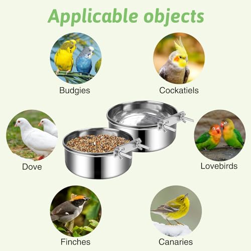 Support de serrage et plat à oiseaux pour cage perruche chinchilla - 6
