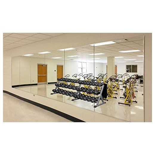 CrossROBBIN Wall Mounted Activity Mirrors for Home Gym and Commercial Use (1, 48"x32")