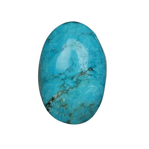 GEMHUB VRFu[^[RCY 18.6Jbg I[oJ{V Op X[Jbg J{V COp