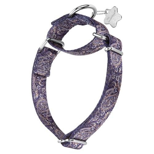 Dazzber Martingale Collar - Dog Collar - New and Fun Pattern, Heavy Duty Training Collar (No Buckle) for Small, Medium and Large Dogs (Paisley Pattern, Large, 1Inch Wide)