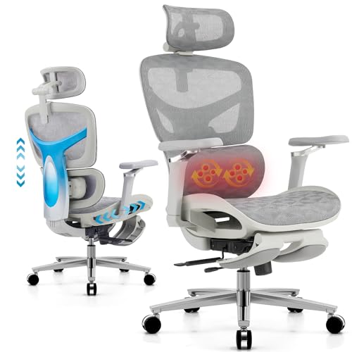 Ergonomic Office Chair with Massage Support (Gray)