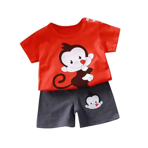 Conjunto de 2 piezas para bebé y niño, de verano, manga corta, con estampado de animales y pantalones cortos a rayas, con cintura elástica, ropa casual y cómoda para niños, c-O, 3 años