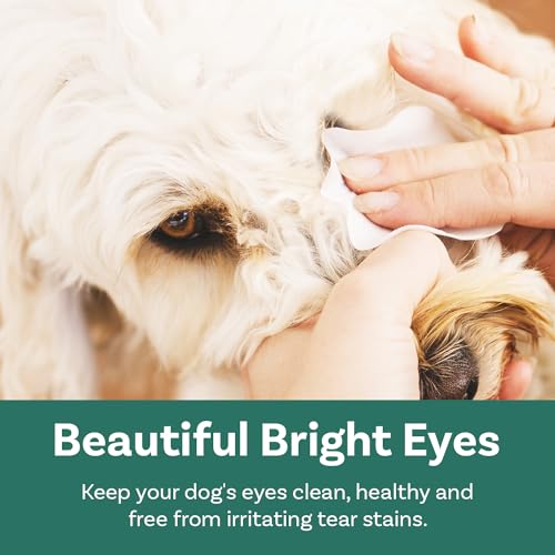 Pet Eye Wipes Natural Tear Stain Remover for Dogs and Cats 100 Presoaked Eye Cleaner Wipes Plantbased for Gentle Cleaning Brightens  Removes Dirt on Eyes Ears and Face  Cucciolini Doodles Pet eye wipes natural tear stain remover for dogs and cats 100 pre soaked eye cleaner wipes plant based for gentle cleaning brightens  removes dirt on eyes ears and face   cucciolini doodles