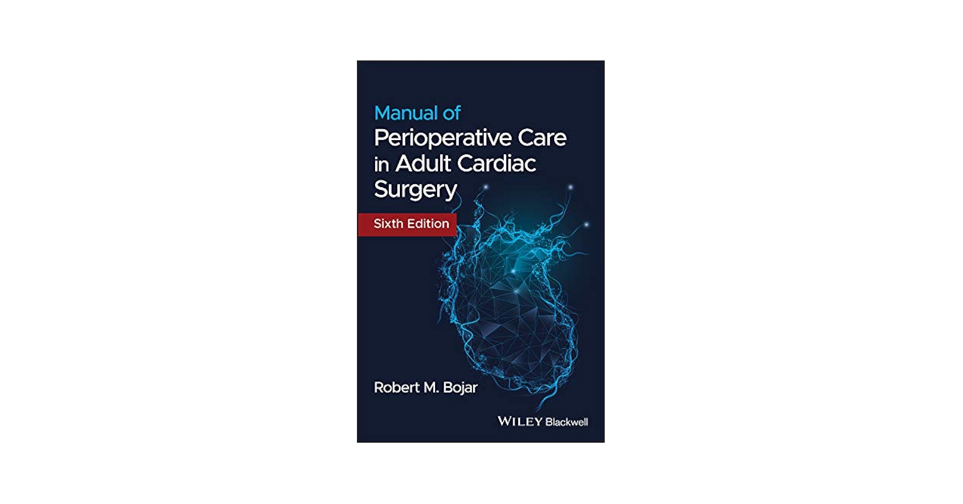 健康・医学 Perioperative Cardiac Anesthesia&Surgery 2024 AHA/ACC/ACS/ASNC/HRS/SCA/SCCT/SCMR/SVM Guideline for