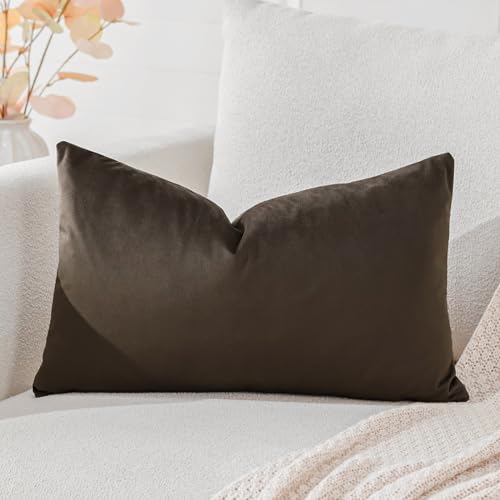 Artscope Luxury Velvet Cushion Covers Decorative Lumbar Pillowcases Soft Solid Cushion Cases for Couch Sofa Bedroom Car Decor 30x50cm Chocolate Brown