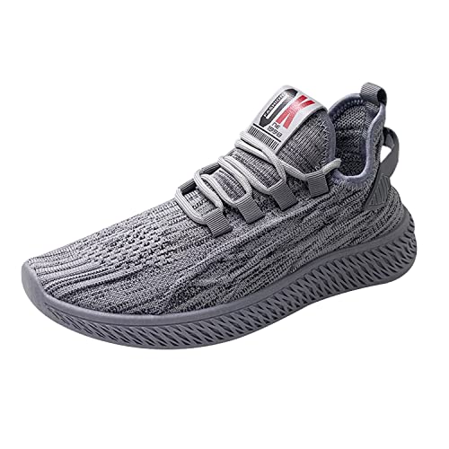 [o`egk] jOV[Y fB[X Xj[J[  ^C ̈كV[Y y EH[LOV[Y tBbglXV[Y   C V[Y ʋC (6621O[,24.0cm)