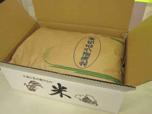 Amazon.co.jp: 令和7年産 北海道産 ゆめぴりか 玄米 30kg 第一区分 一