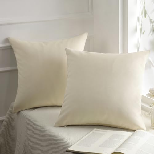 Phantoscope Pack of 2 Velvet Decorative Throw Decorative Pillow Cover Soft Solid Square Cushion Case for Couch Off White 22 x 22 inches 55 x 55 cm