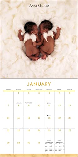 anne geddes colonia anne geddes colonia