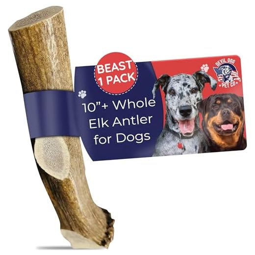 Devil Dog Pet Co. Elk Antlers for Dogs, Natural Dog Chew for Aggressive Chewers - Long Lasting and Odor Free - USA Sourced - Cleaner Teeth, Anxiety & Boredom Relief - Whole Beast 10"+ - Antler Bone