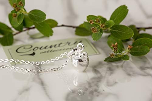 Apple Pendentif idée cadeau anniversaire boîte à bijoux incluse