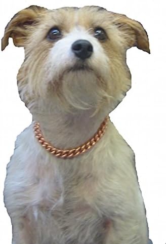 Copper Magnetic Therapy Dog Collars Made to Measure in Solid Copper with Magnets (14 inch)