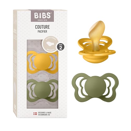 Imagen de BIBS Couture Paquete de 2 chupetes
