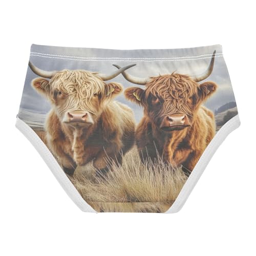 Two Highland Cows Winter Toddler Girls's Underwear 2T 202b86202