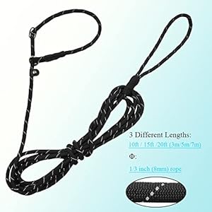 BTINESFUL-10FT-15FT-20FT-Anti-Choke-Slip-Lead-Dog-Leash-Reflective-13-Rope-Leash-Long-Training-Lead-for-Small-Medium-Dogs-Black - Cucciolini Doodles   BTINESFUL-10FT-15FT-20FT-Anti-Choke-Slip-Lead-Dog-Leash-Reflective-13-Rope-Leash-Long-Training-Lead-for-Small-Medium-Dogs-Black