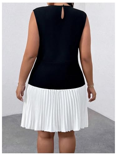 GORGLITTER Women's Plus Size Pleated Dress Color Block Sleeveless A Line Work Business Office Mini Dresses2