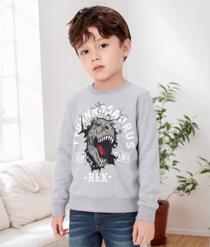 Image of Popshion Toddler Boys Sweatshirts Dinosaur Long Sleeve Pullover Crewneck Shirts Cartoon Tee Sport Tops for Kids 1-8T
