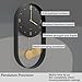 Driini Modern Pendulum Wall Clock - Decorative and Unique Metal Frame, with 8 Inch Face - Contemporary, Minimalist Design, with Silent Battery Operation - Includes Both Black and Gold Pendelum