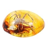 Mikinona Colgante Decorativo Color Ámbar Espécimen Encapsulado para Joyería DIY Pulsera Collar Accesorio Artesanal Uso Oficina Tamaño Compacto