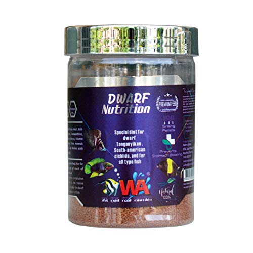 WA Dwarf Cichlid Nutrition 220g (B08HM3MKWZ) Amazon Price History, Amazon Price Tracker