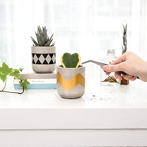image for Mkono Mini Cement Succulent Planter (Plant Not Included), Set of 3 Con