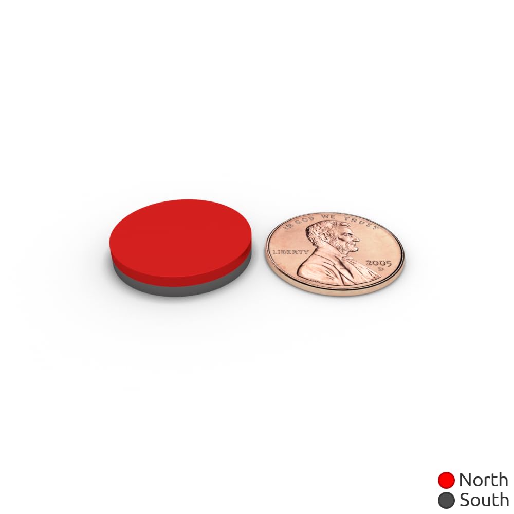 3/4 x 1/8 Inch Strong Neodymium Rare Earth Disc Magnets N52 (12 Pack)