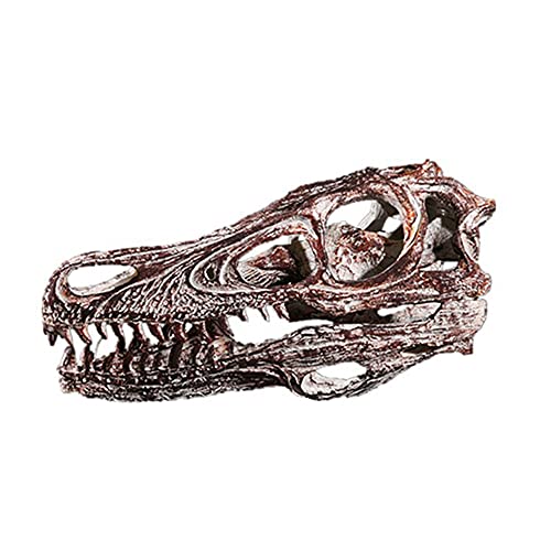 FHUILI Velociraptor Skull Model - Alto Dinosauro