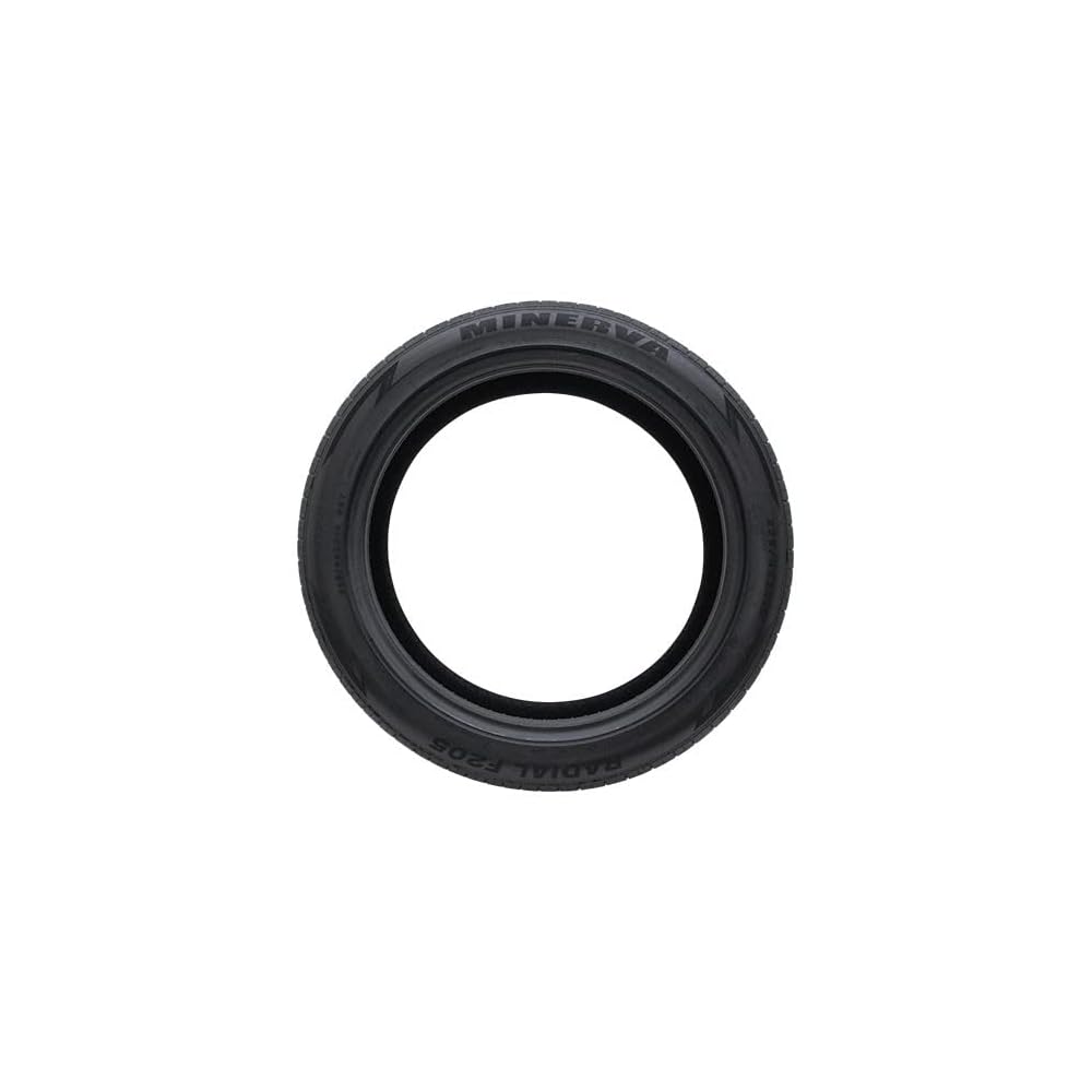 Minerva F205 XL TL 245/45 R20 103Y XL zomerbanden MV875 5420068695232