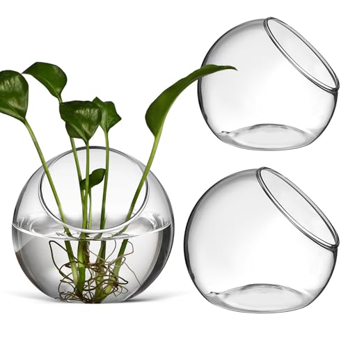 Zerodeko Ensemble de 3 Pots de Plantes Aériennes en Verre Rond Élégant, Terrarium pour Plantes Succulentes Décoratif, pour Ambiance Estivale aux Tables et...