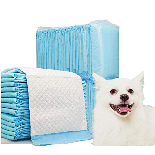 DZL-empapadores Desechables - Empapadores Super-absorbentes, Almohadillas para la incontinencia (XL 60X90CM 30PCS, Blanco)