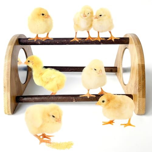 Image of Mini Chick Perch with Mirror, Natural Willow Wood Roosting Bar for Coop&Brooder, Anti-Slip Training Perch for Baby Chicks, El Pollitos, La Pollita, Easy to Assemble&Clean, Fun Toys for Chick