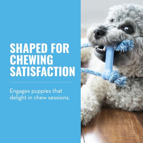 KONG – Puppy Goodie Bone mit Seil – Kautschuk zur Zahnungshilfe, Hundespielzeug zur Zahnreinigung (Farbvar.) – Für Sehr Kleine Welpen