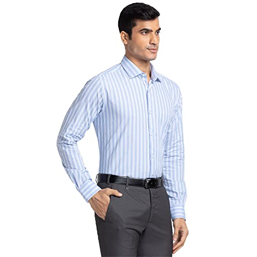 Image of Park Avenue Men's Pure Cotton Stripe Pattern Slim Fit Ainsley Collar Full Sleeve Formal Shirt