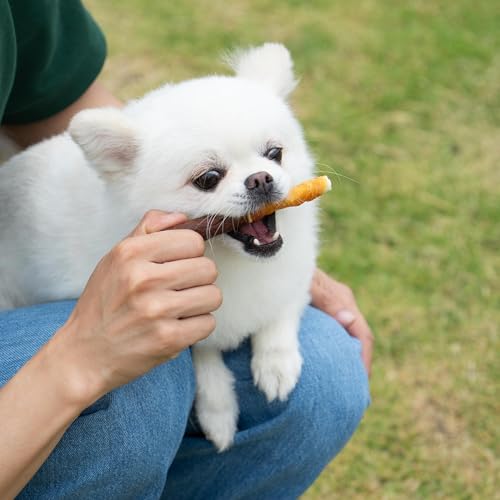 Image of MON2SUN Dog Treats, 5 Inch, Double Flavor Chicken & Liver Rawhide Sticks | 30 Count Pack, Double Flavor, Teeth Cleaning, Long-Lasting Chew, High-protein and Low-fat, Suitable for Small Dog