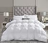 Luxurious All-Season Goose Down Comforter Queen Size Duvet Insert, Exquisite Pinch Pleat Design, Premium Baffle Box, 1200 Thread Count 100% Egyptian Cotton, 750+ Fill Power, 55 oz Fill Weight, White Luxurious All-Season Goose Down Comforter Queen Size Duvet Insert, Exquisite Pinch Pleat Design, Premium Baffle Box, 1200 Thread Count 100% Egyptian Cotton, 750+ Fill Power, 55 oz Fill Weight, White