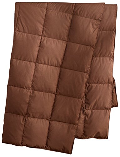 Best Puredown Comforters