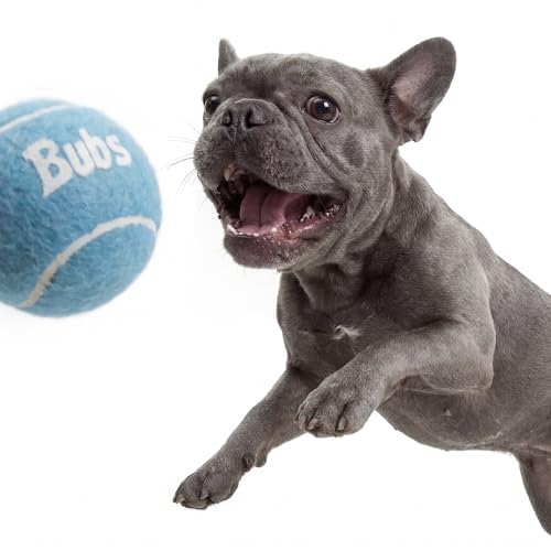 Pelotas mordibles BubS para perros y gatos, pack de 3 miniatura 6