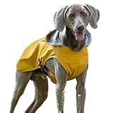 Hunde-Regenmantel – Regenjacke für Hunde, wasserdicht, verstellbare Größe...
