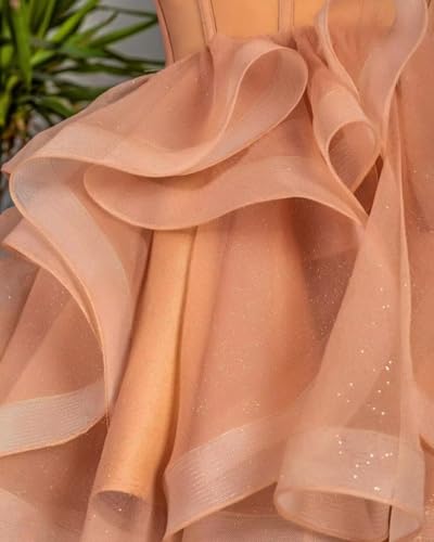 Spaghetti Straps Tulle Short Prom Dress 2024 Ruffles High Low Homecoming Dresses for Teens4