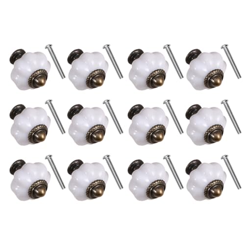 HAMPPLIES 12 Z~bNی^omu ϋvƋ Lrlbg Lb`p o˒I Ɨpp[c