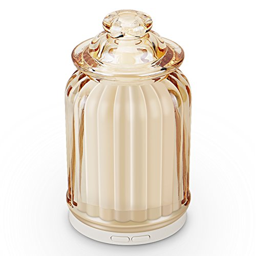 AromaAllure Glass Ultrasonic Aromatherapy Diffuser, Champagne Humidifier Diffuser for Home, Office, Car, Travel