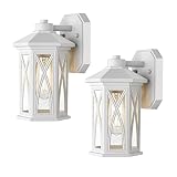 Hopejoy Exterior Light Fixture, 11.3" H White Front Porch Light Wall Mount with Clear Seeded Glass,