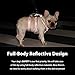 Huntboo No Escape Dog Harness, Escape Proof Harness, Fully Reflective Harness with Padded Handle, Breathable,Durable, Adjustable Vest for Small Dogs Walking, Training, and Running Gear（Pink,S