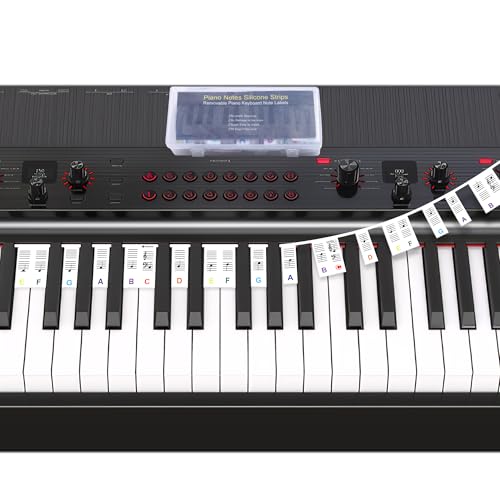 Piano Notes Guide Removable Silicone Piano Keyboard Note Labels for 88/76/61/54/49/37 Keyboard, Piano Note Strips Multi-Color Large Bold Letter for Beginners Kids, Reusable and Comes with Box