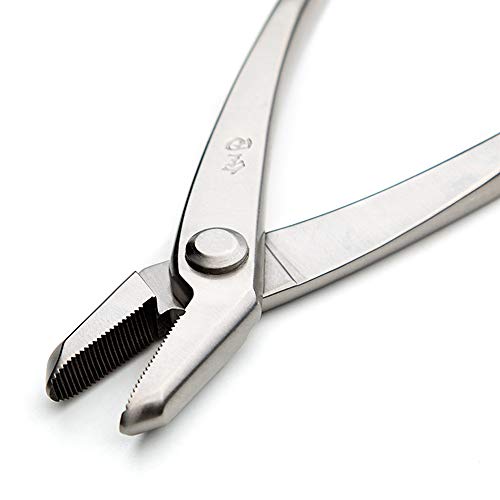 Tianbonsai 0713524385408 Master Grade 205 Mm Jin Pliers Bonsai Training Wire Pliers 5Cr15Mov Alloy Steel Bonsai Tools Made thumb #4