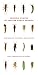 Common Nymphs of Eastern North America: A Primer for Flyfishers and Flytiers (Keystone Books)