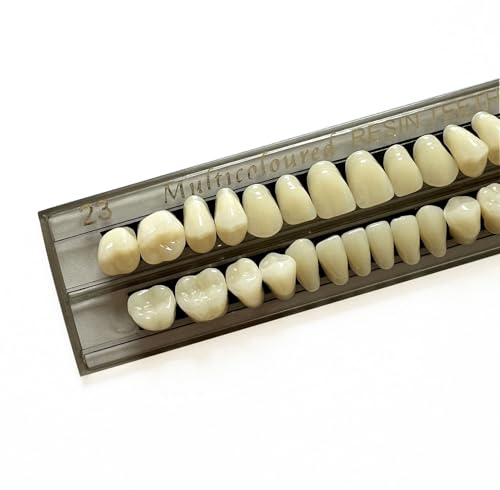 Image of 56pcs Dental Synthetic Resin Teeth Denture False Tooth Denture Model Teeth 2 Sets Halloween Horror Teeth, 23 A3