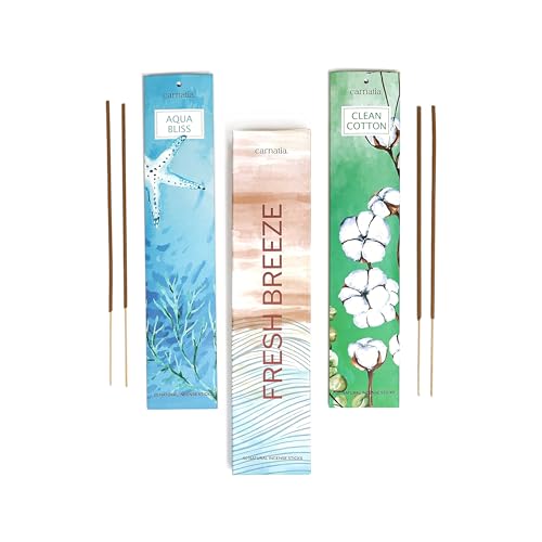 Carnatia Fresh Breeze Incense Sticks – Set of 2 Fresh,